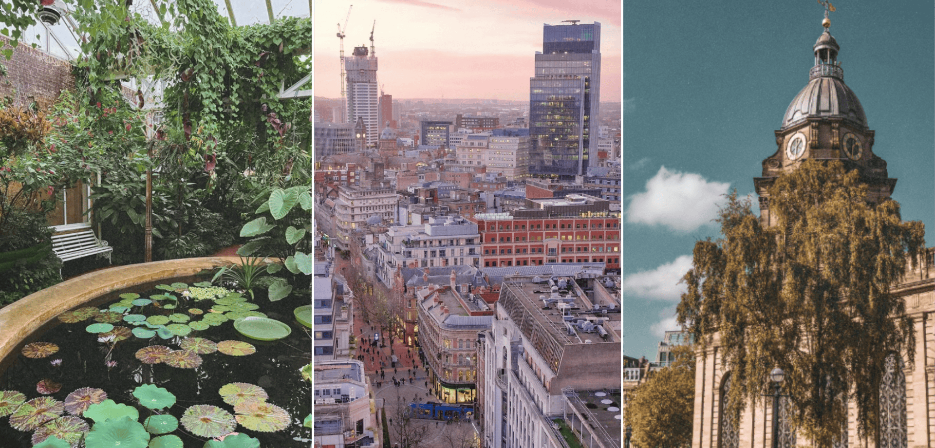 Where to propose in Birmingham: showing three locations, including Birmingham Botanical Garden, Birmingham City Skyline and Birmingham Cathedral Square.