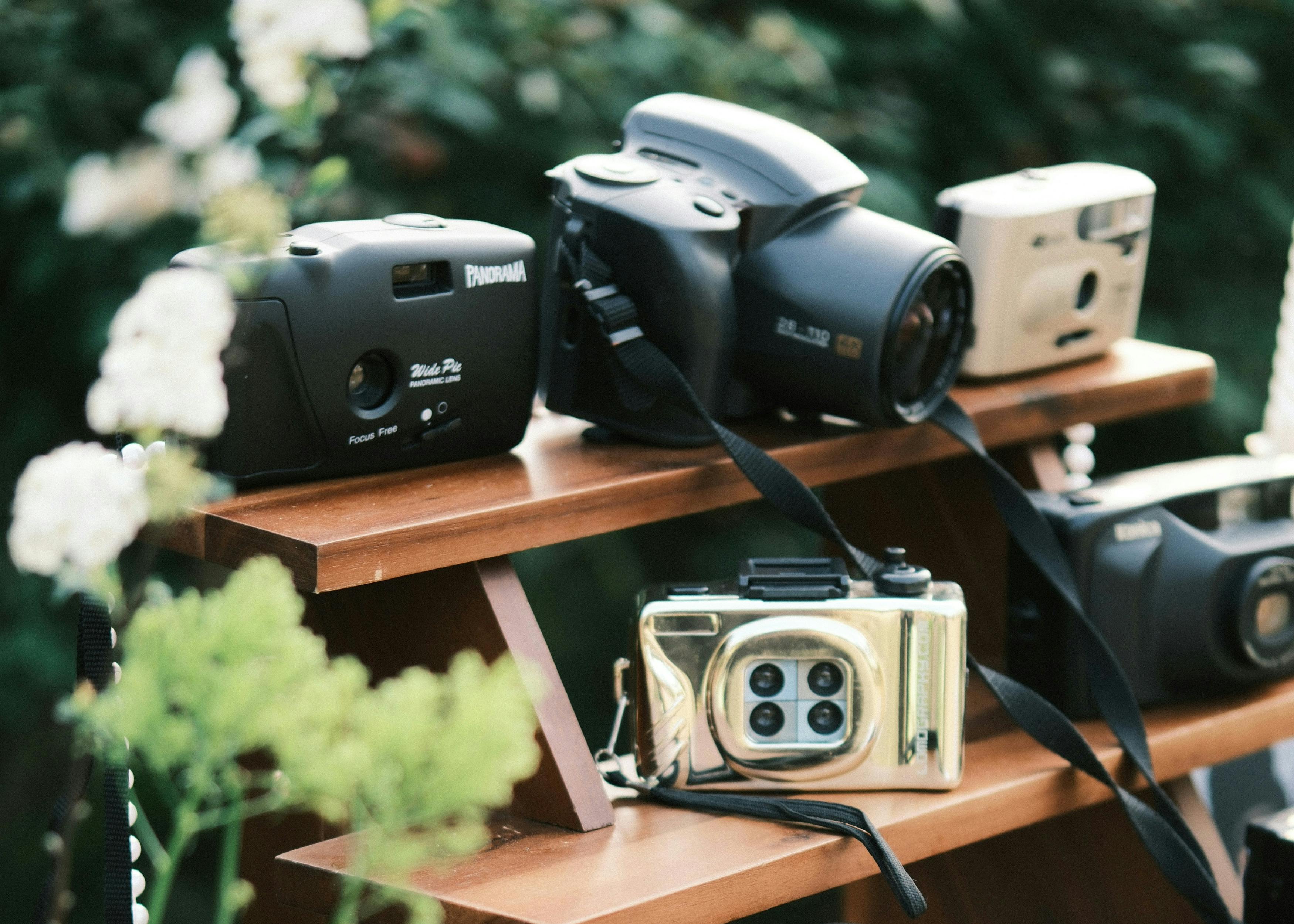 Disposable and compact cameras arranged on wooden shelves at a wedding reception, set up for guests to capture candid moments.